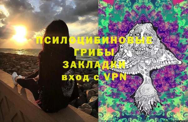 спайс Алексин