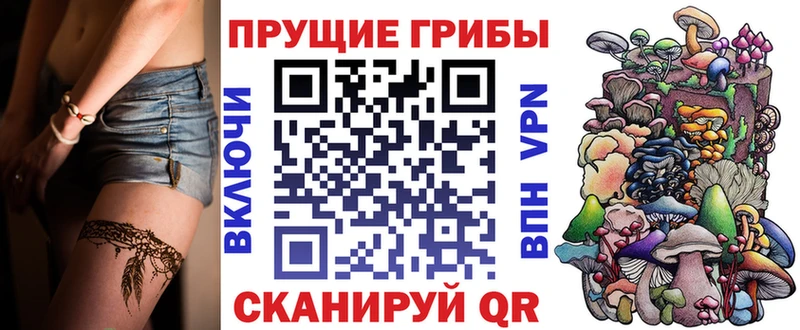 Псилоцибиновые грибы Psilocybine cubensis  Луга 